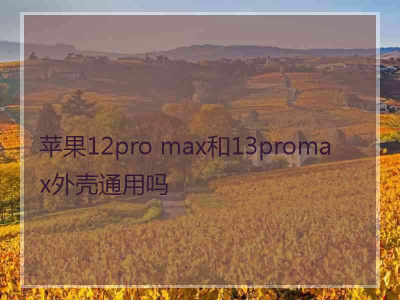 苹果12pro max和13promax外壳通用吗