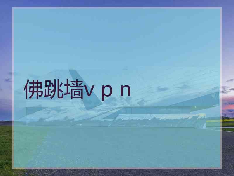 佛跳墙v p n