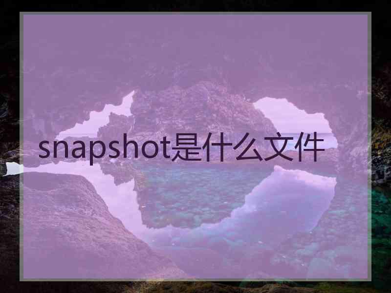 snapshot是什么文件