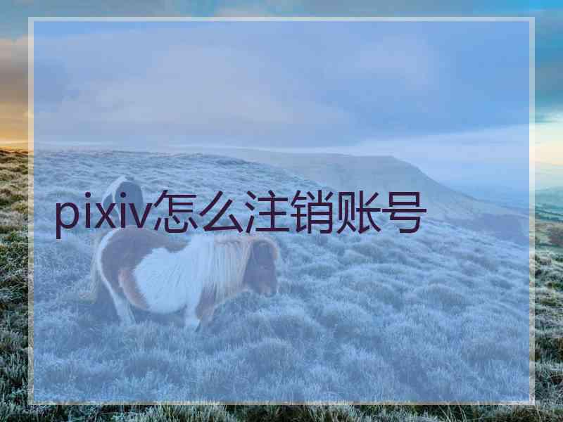 pixiv怎么注销账号