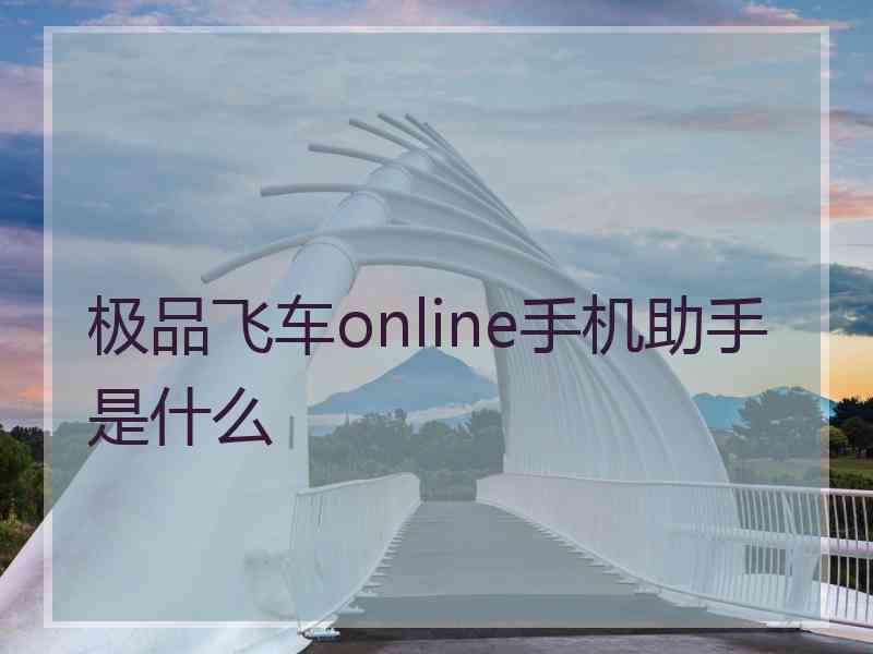 极品飞车online手机助手是什么