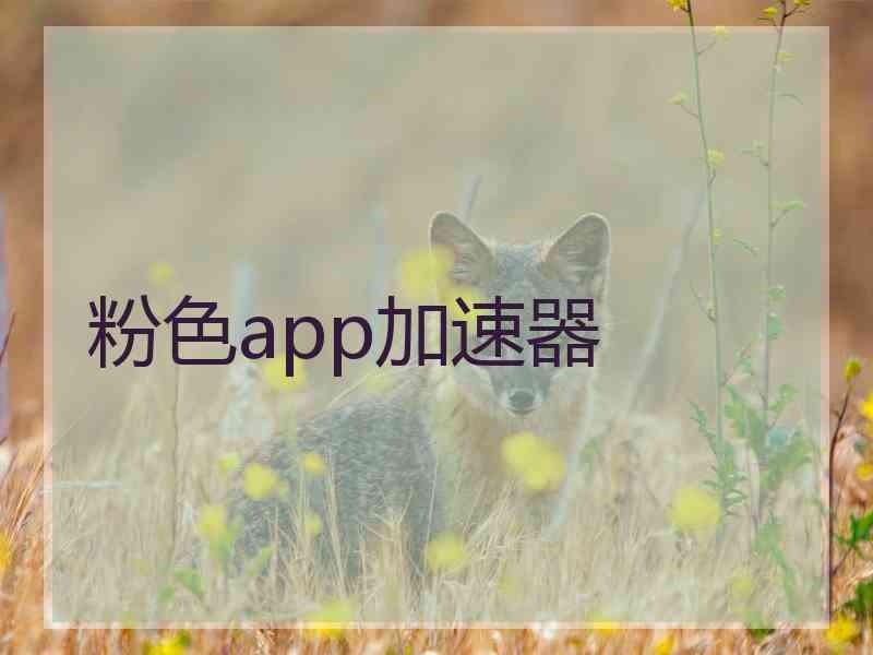 粉色app加速器