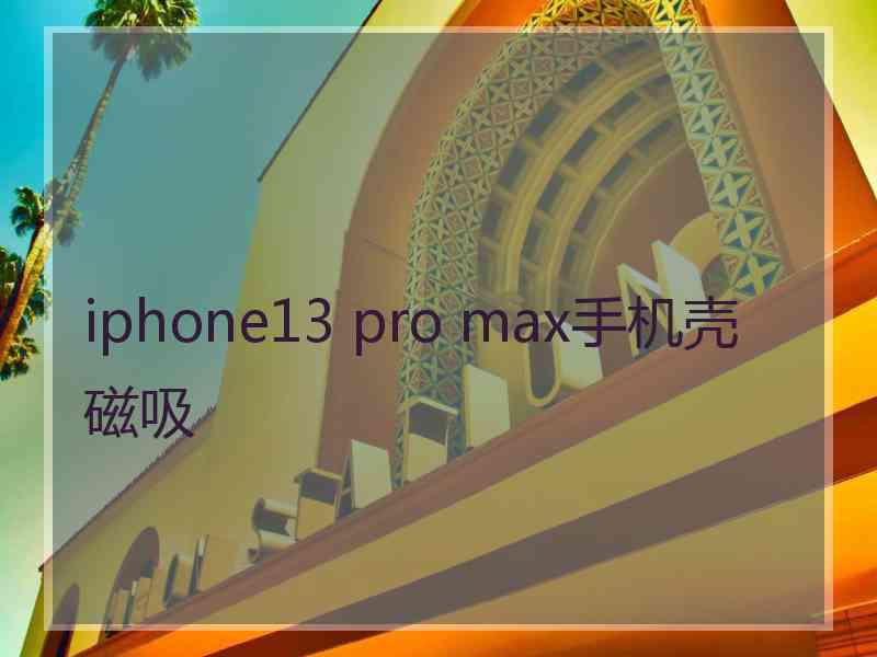 iphone13 pro max手机壳 磁吸