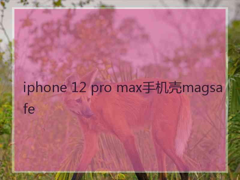 iphone 12 pro max手机壳magsafe