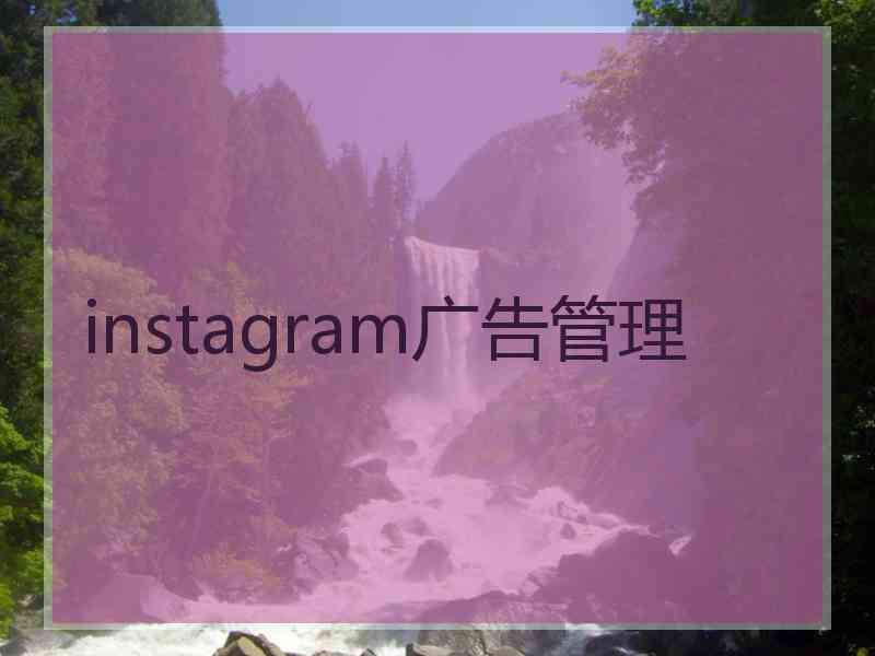 instagram广告管理