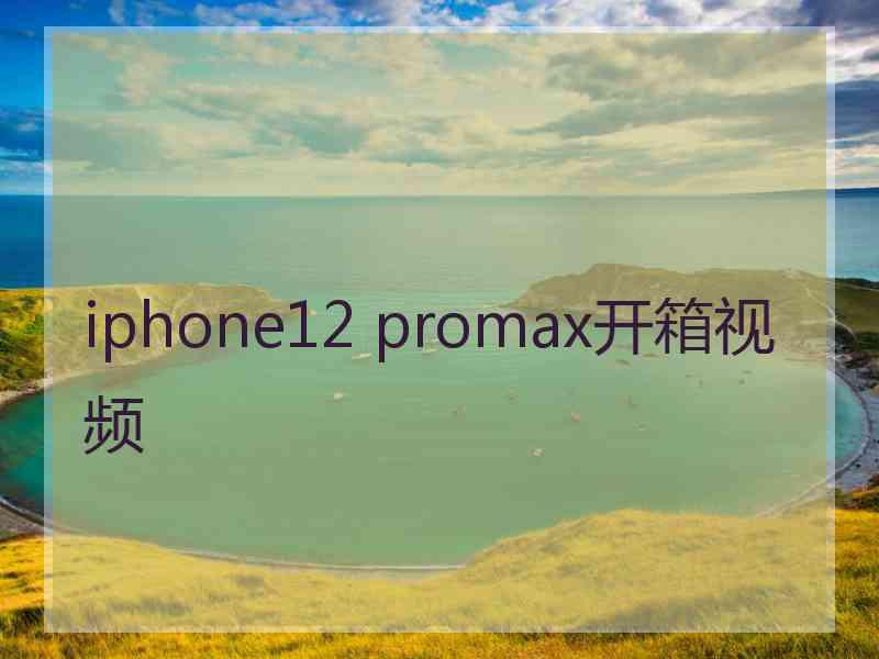 iphone12 promax开箱视频