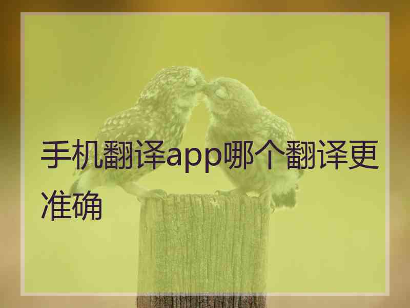 手机翻译app哪个翻译更准确