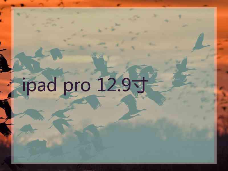 ipad pro 12.9寸