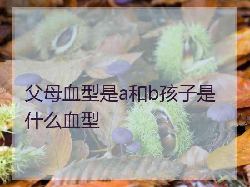 父母血型是a和b孩子是什么血型