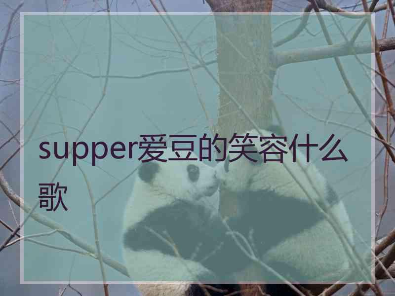 supper爱豆的笑容什么歌