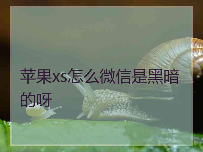 苹果xs怎么微信是黑暗的呀