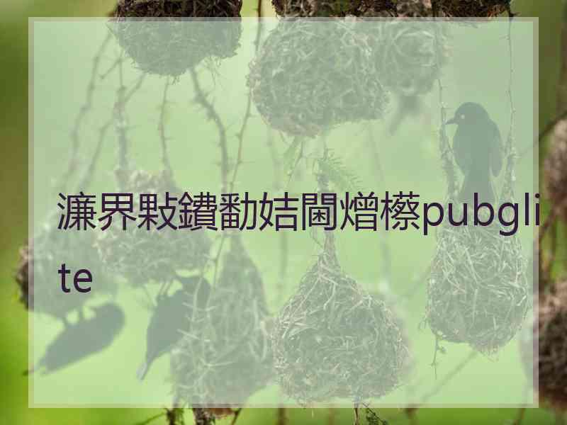 濂界敤鐨勫姞閫熷櫒pubglite