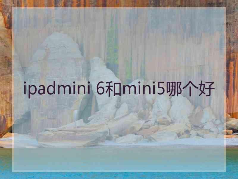 ipadmini 6和mini5哪个好