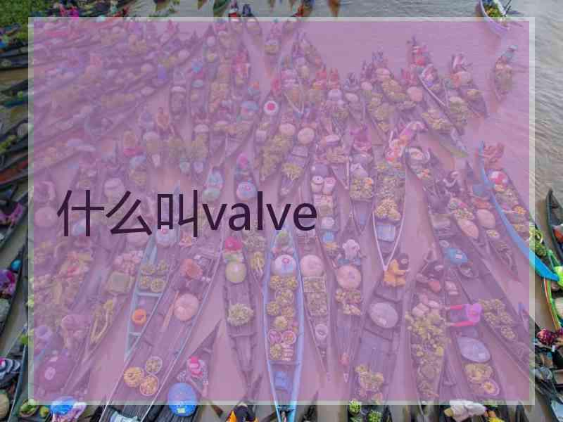 什么叫valve