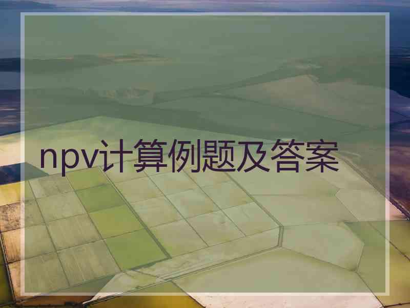 npv计算例题及答案