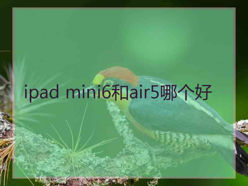 ipad mini6和air5哪个好