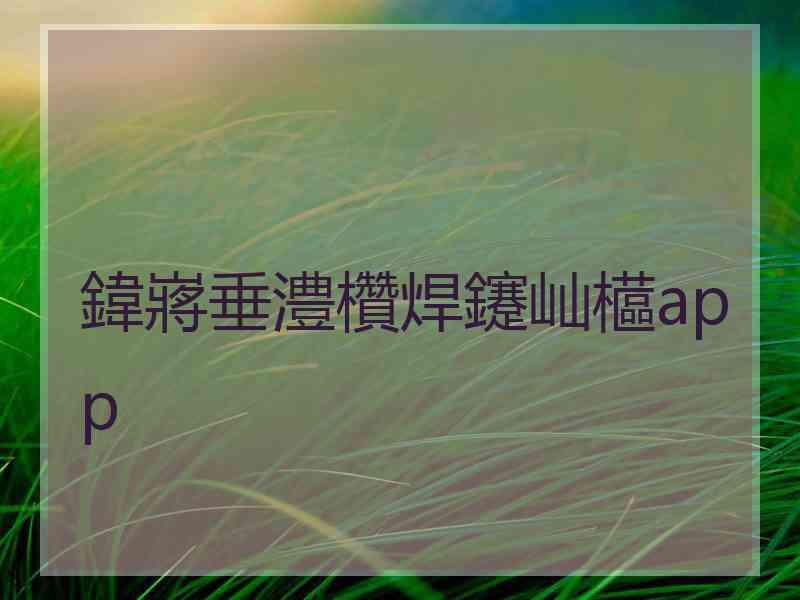 鍏嶈垂澧欑焊鑳屾櫙app