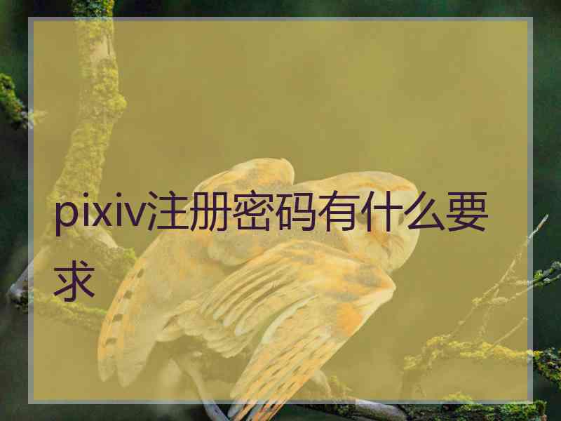 pixiv注册密码有什么要求