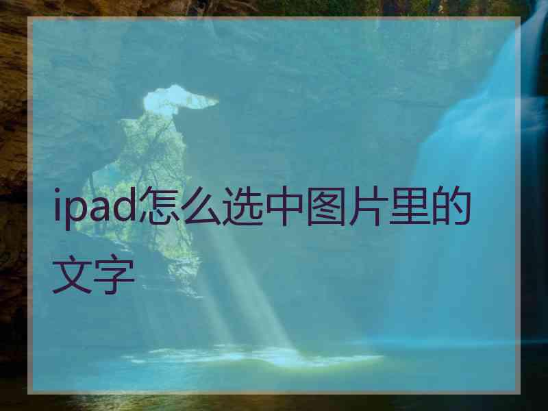 ipad怎么选中图片里的文字