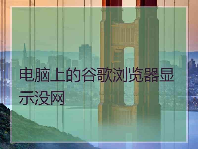 电脑上的谷歌浏览器显示没网