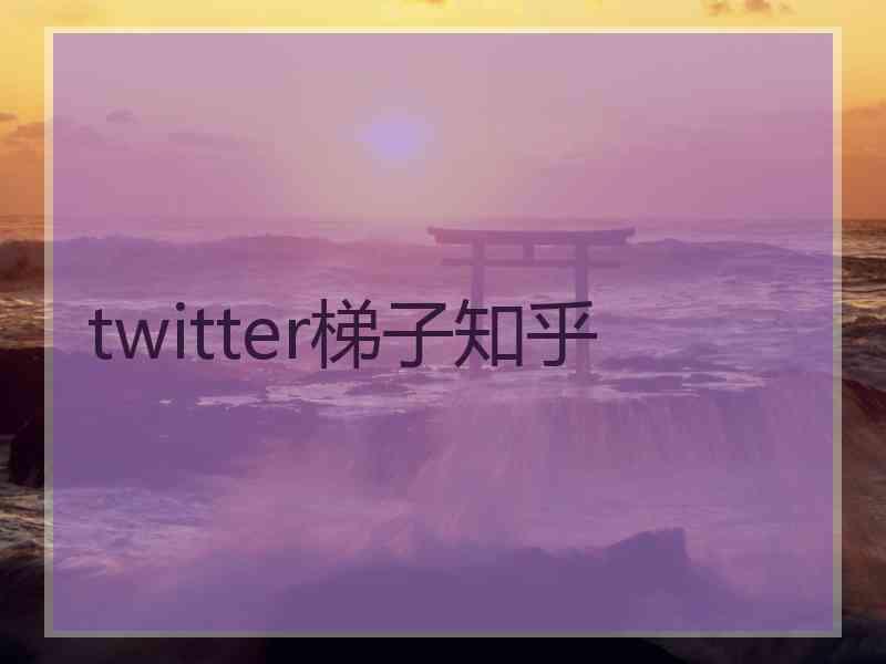 twitter梯子知乎