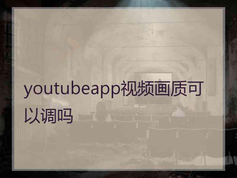 youtubeapp视频画质可以调吗