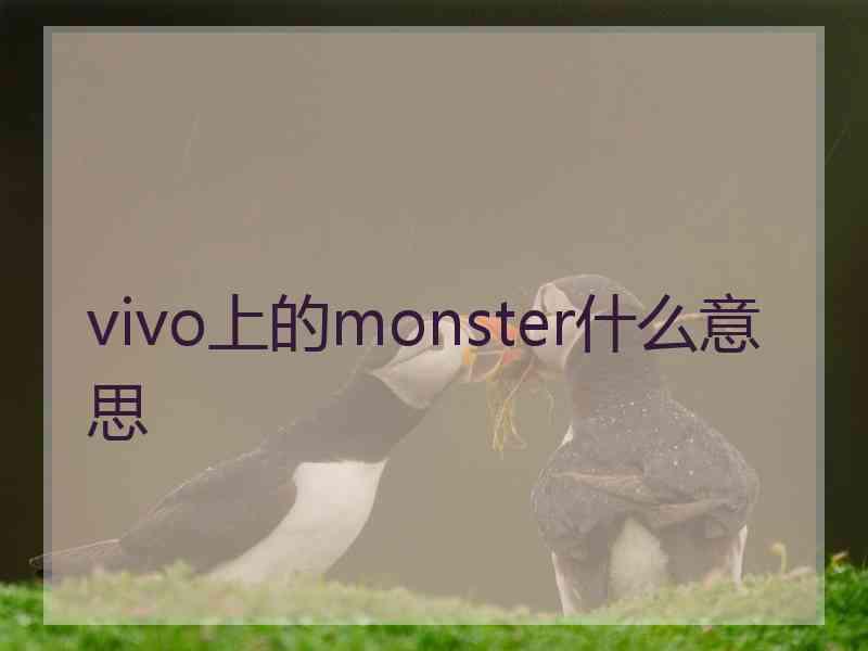 vivo上的monster什么意思