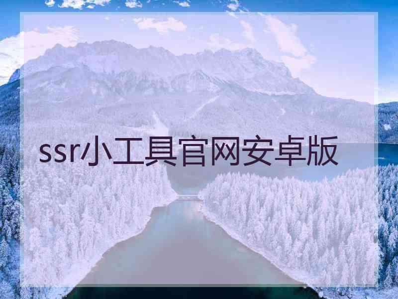 ssr小工具官网安卓版