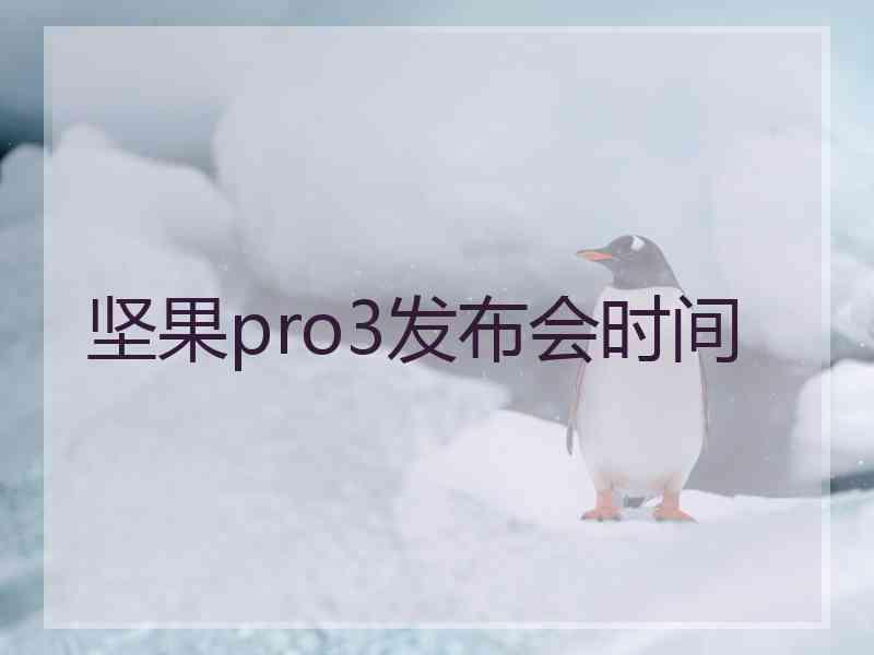 坚果pro3发布会时间