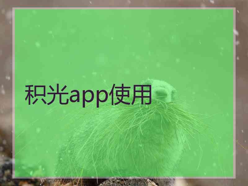 积光app使用