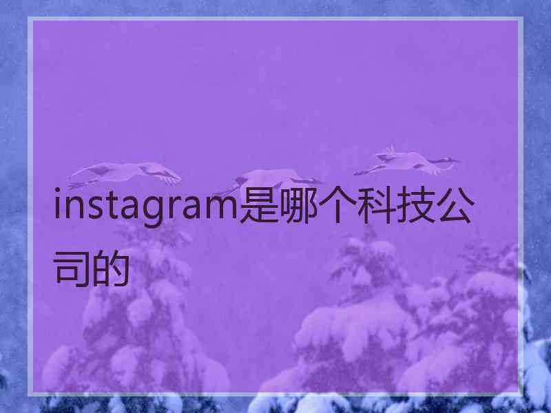 instagram是哪个科技公司的