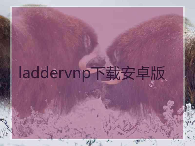 laddervnp下载安卓版