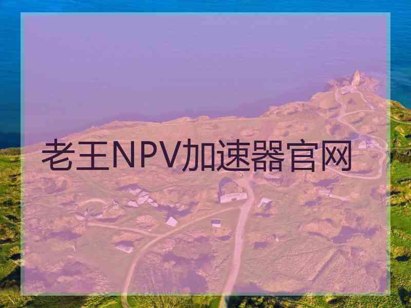 老王NPV加速器官网