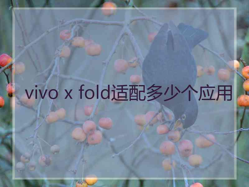 vivo x fold适配多少个应用