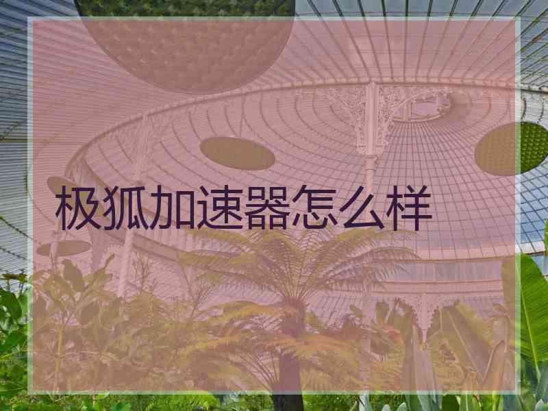 极狐加速器怎么样