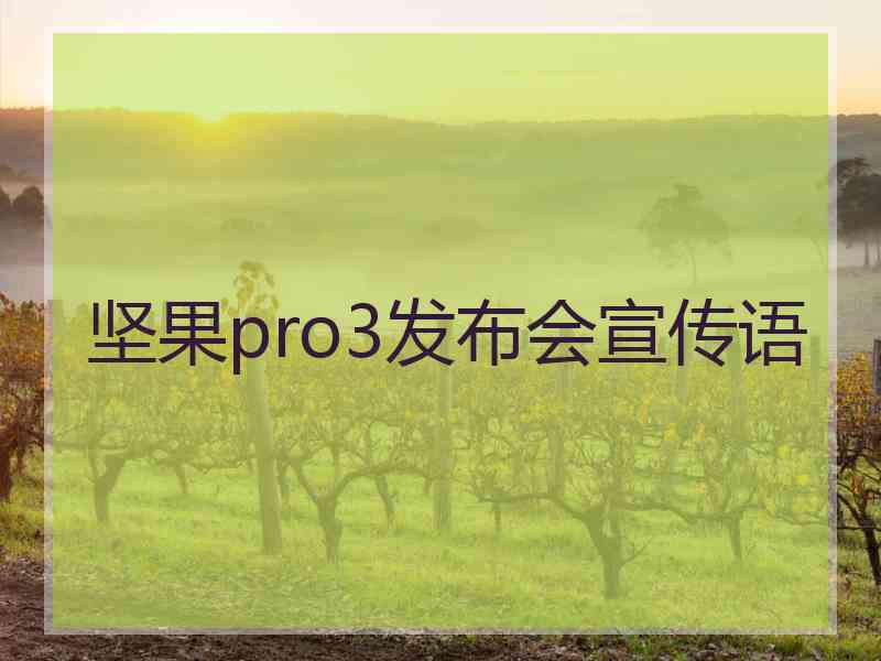 坚果pro3发布会宣传语