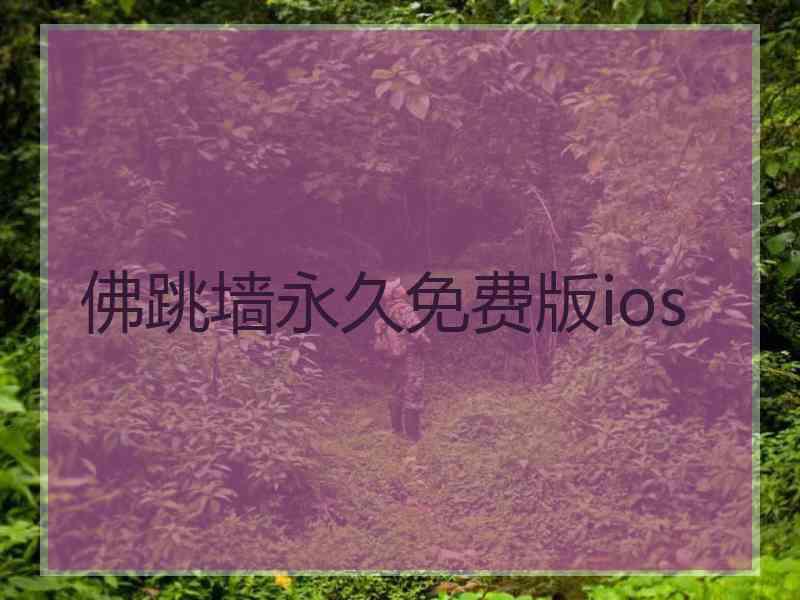 佛跳墙永久免费版ios