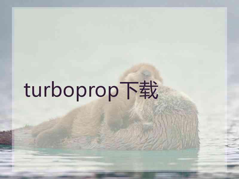 turboprop下载