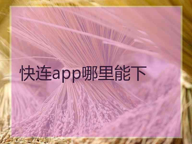 快连app哪里能下