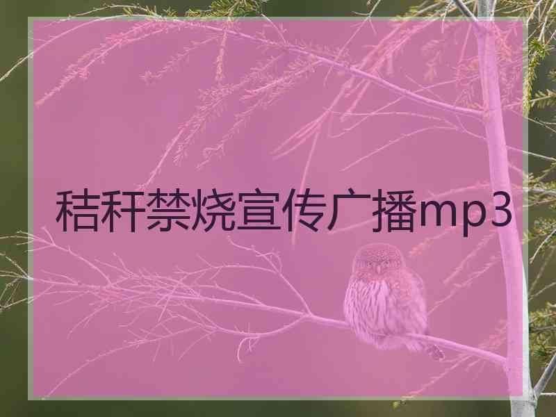 秸秆禁烧宣传广播mp3