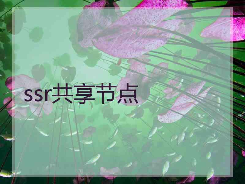 ssr共享节点