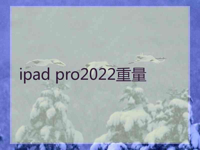 ipad pro2022重量