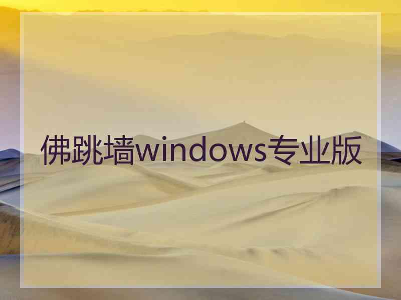 佛跳墙windows专业版