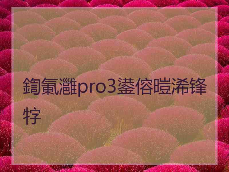 鍧氭灉pro3鍙傛暟浠锋牸