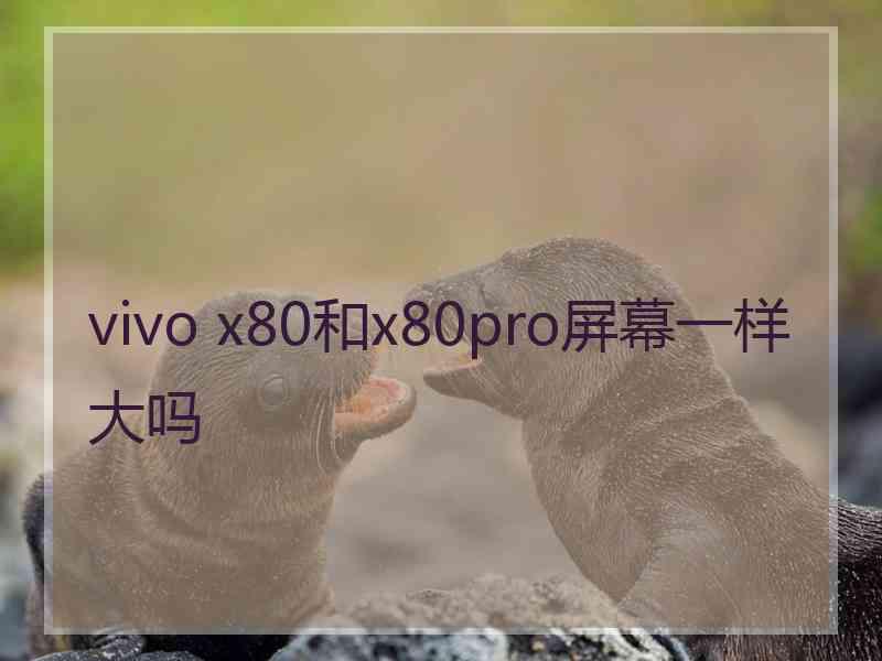 vivo x80和x80pro屏幕一样大吗