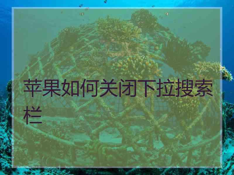 苹果如何关闭下拉搜索栏