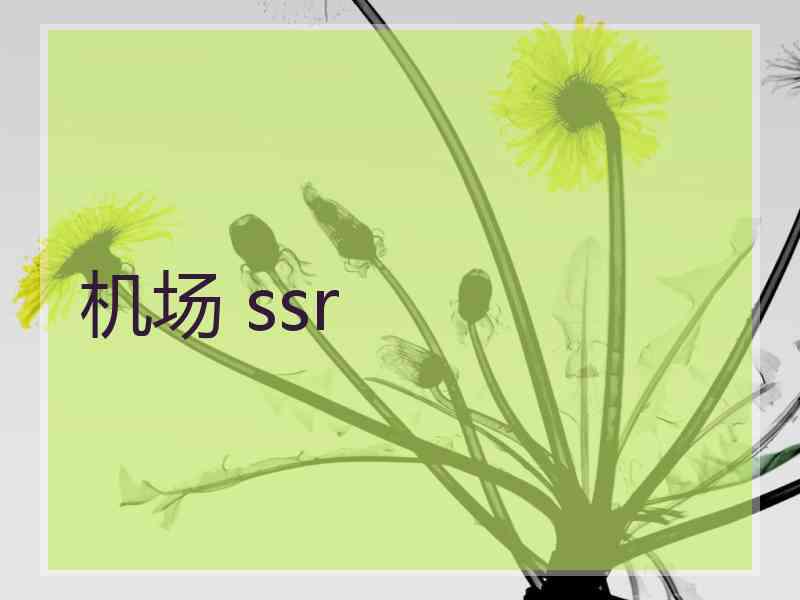 机场 ssr