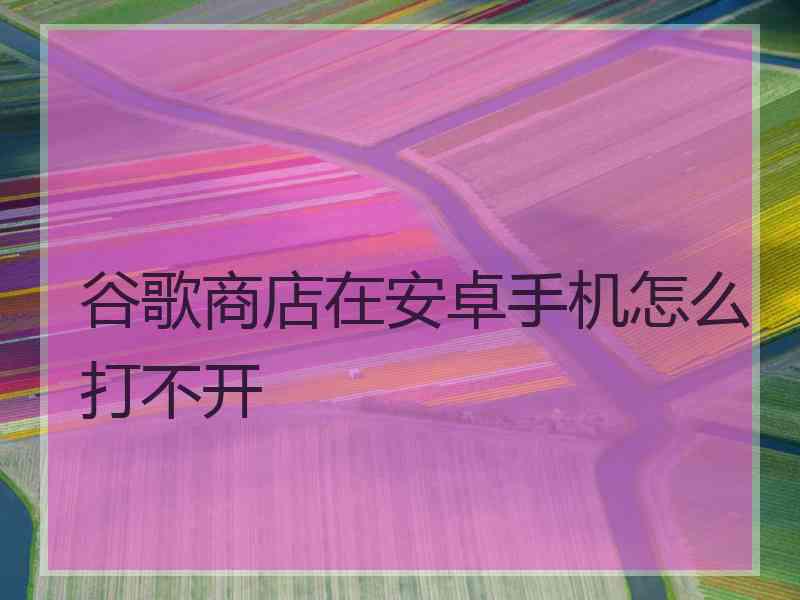 谷歌商店在安卓手机怎么打不开