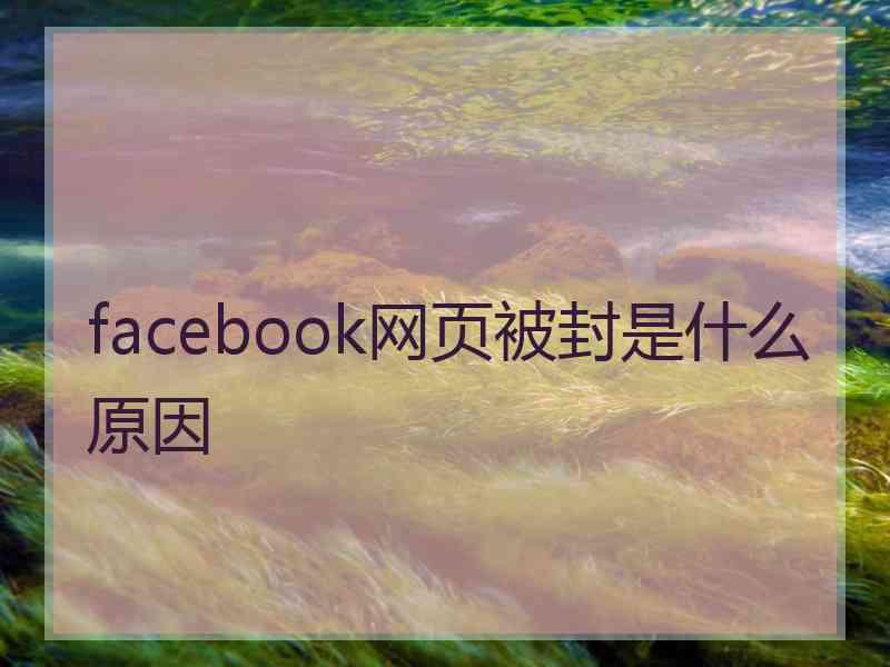 facebook网页被封是什么原因