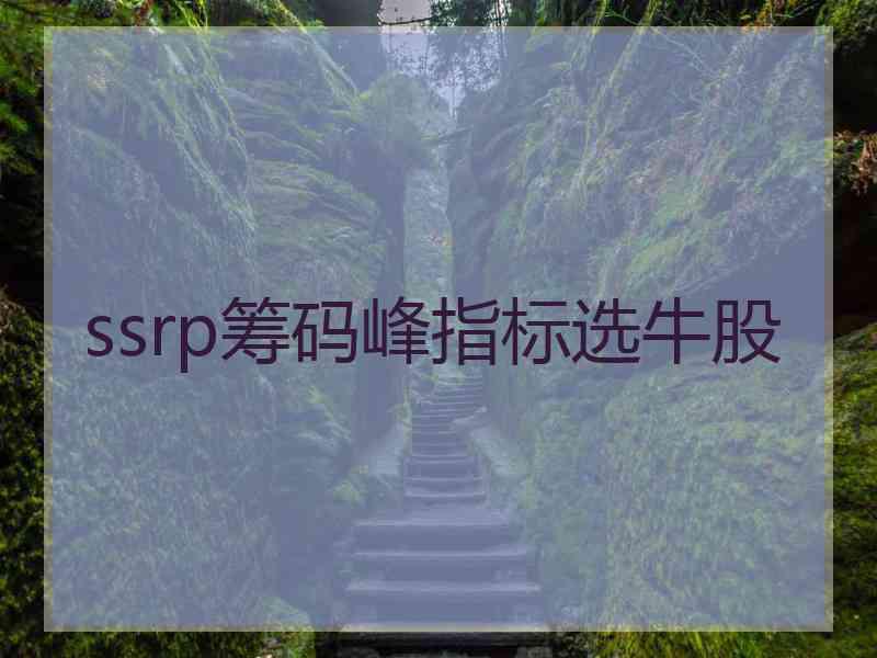 ssrp筹码峰指标选牛股